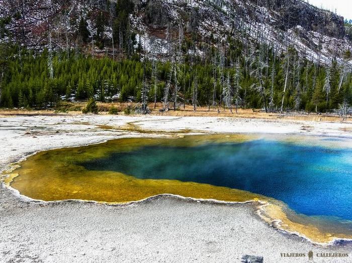 Gran fuente prismática en Yellowstone