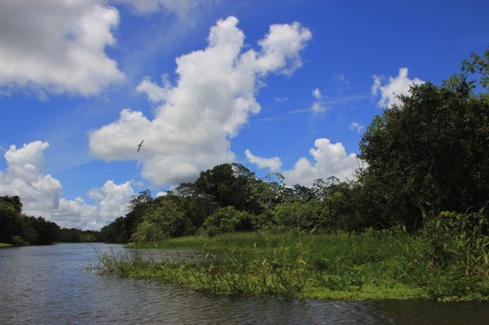 Increíbles paisajes en el Amazonas peruano