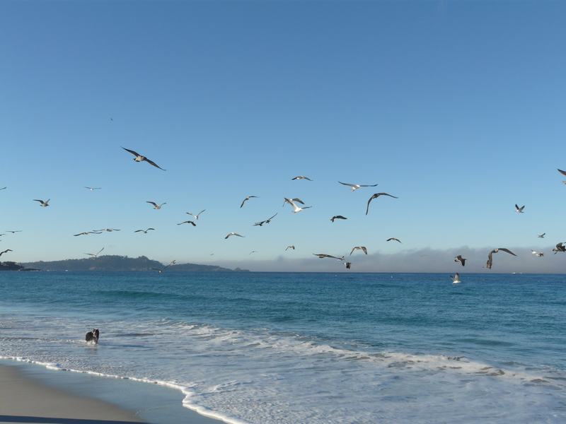 Playa de Monterrey