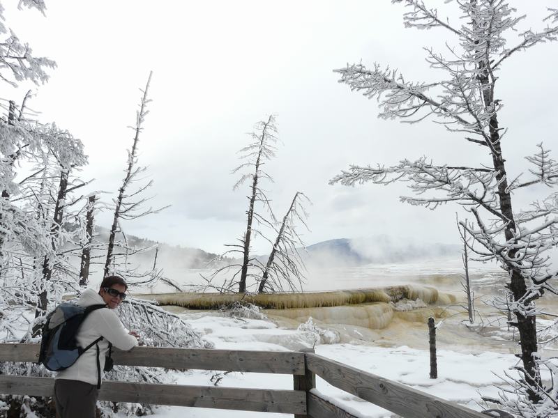 Parque de Yellowstone