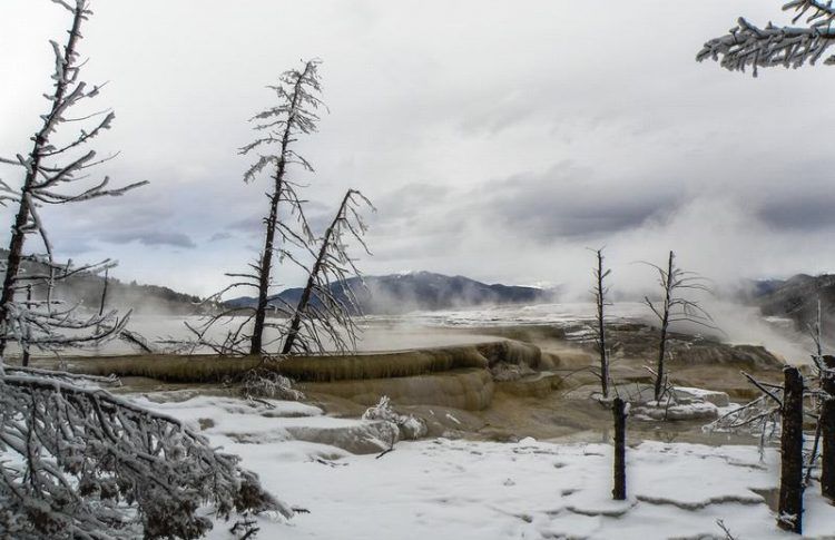 Parque de Yellowstone
