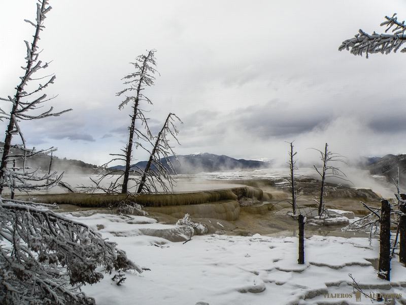Zona Mammoth en Yellowstone
