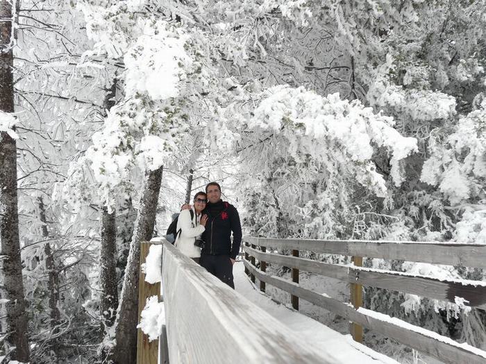 Parque de Yellowstone