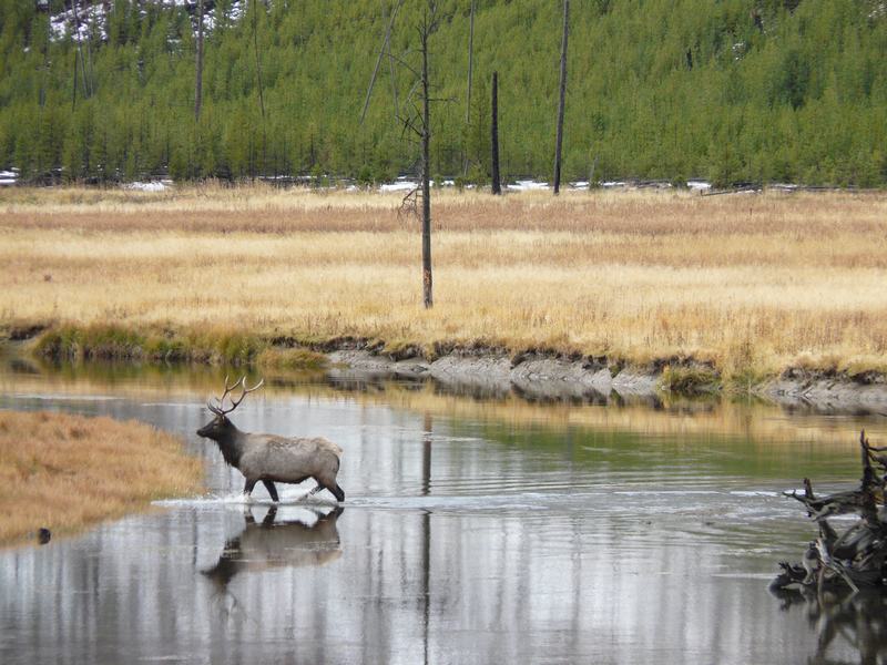 Parque Nacional de Yellowstone
