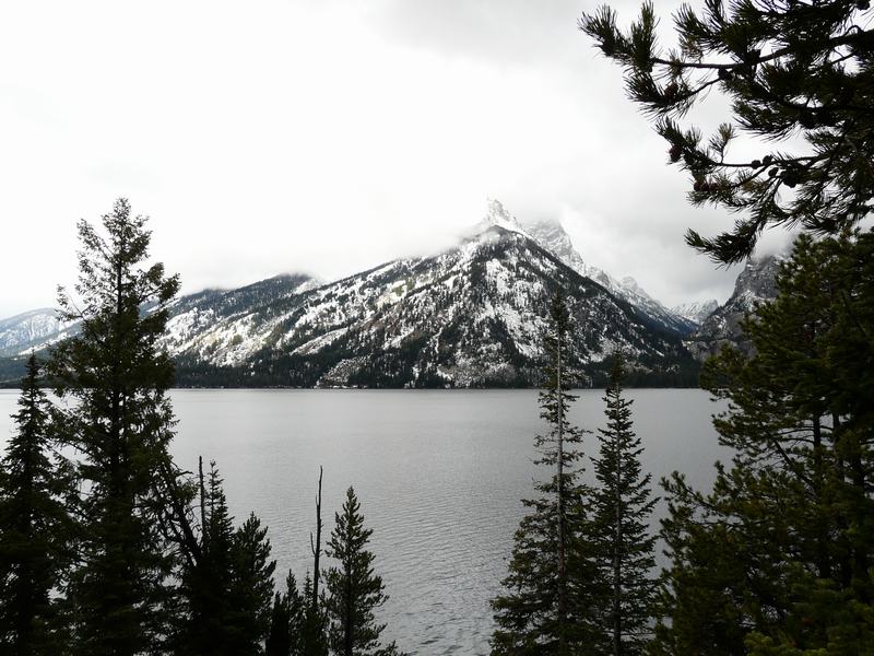 Parque Nacional Grand Tetón