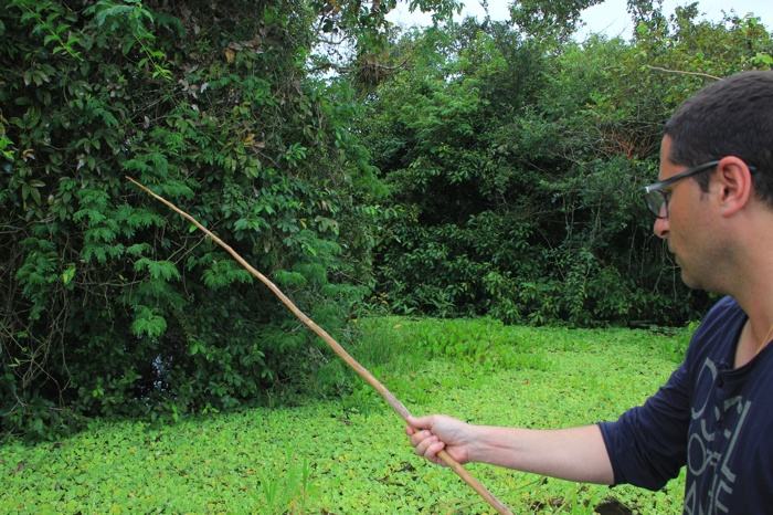 La pesca de las pirañas