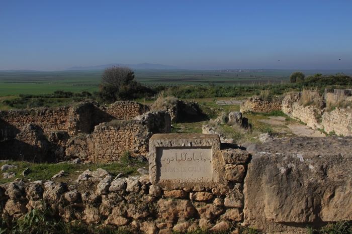 Algún que otro cártel en Volubilis