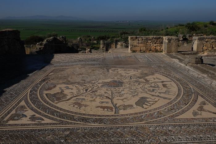 Increíble mosaico en Volubilis