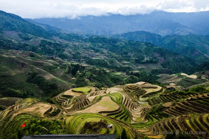 Terrazas de arroz del Espinazo del Dragón
