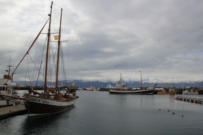 Barco en el que iremos a ver ballenas en Húsavík