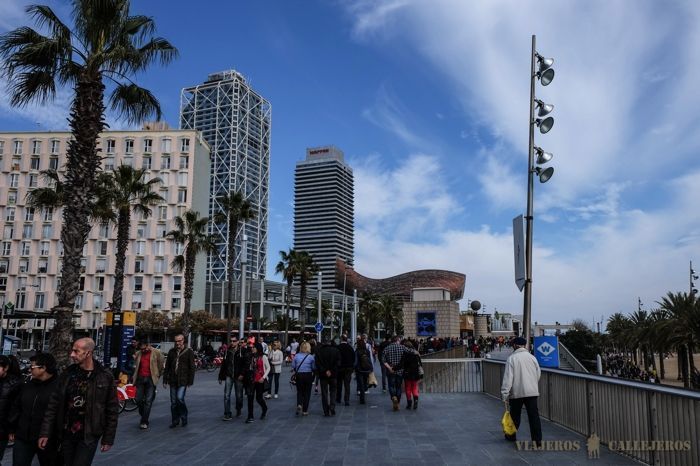 La Barceloneta en Ciutat Vella, la mejor opción si te gusta la playa