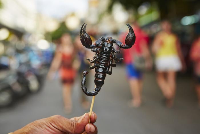 Degustando la gastronomía local