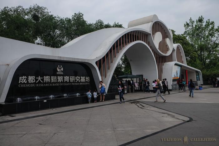 Centro de conservación de osos panda en Chengdu