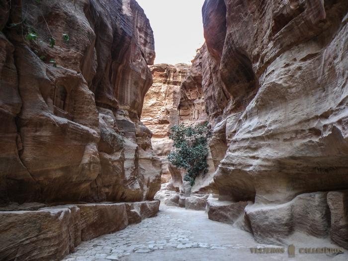El Siq. Petra en dos días