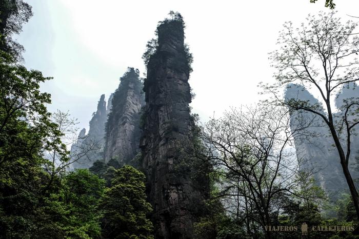Las montañas chinas de Avatar