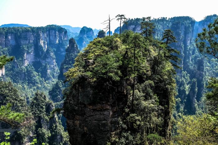 Parque Nacional de Zhanjiajie