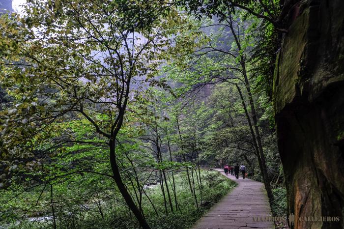 Paseando por las montañas chinas de Avatar