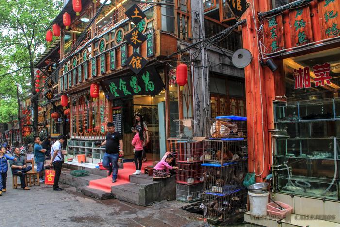 Restaurantes de la ciudad. Qué ver en Fenghuang