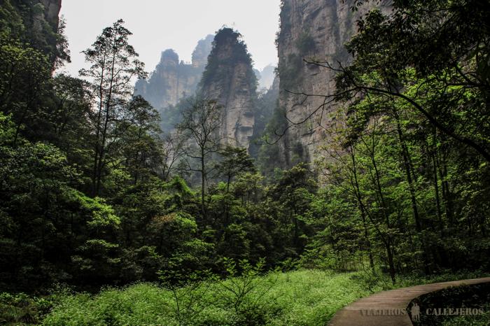 Montañas chinas de Avatar