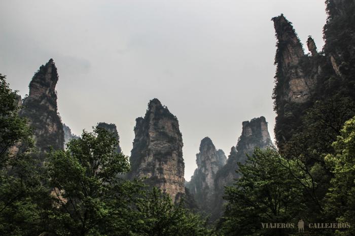 Vistas de las Montañas chinas de Avatar desde la zona baja del área escénica