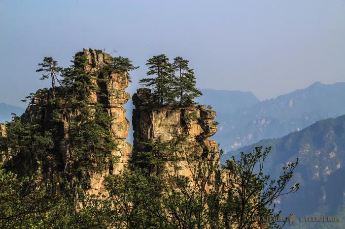 Parque Nacional de Zhanjiajie