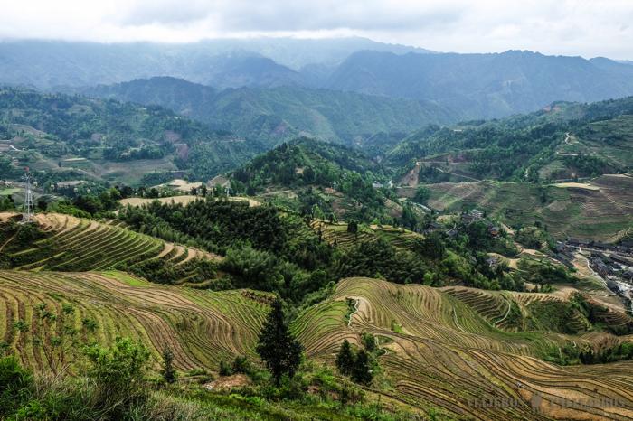 Baile de colores de las Terrazas de arroz de Jinkeng