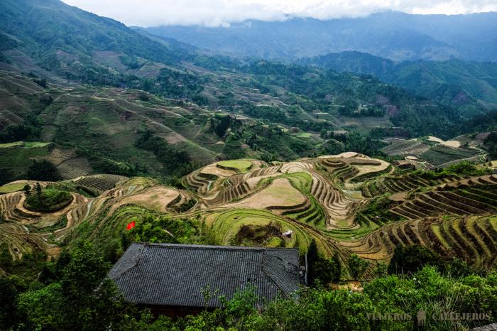 Vistas desde el mirador de las Terrazas de arroz de Jinkeng
