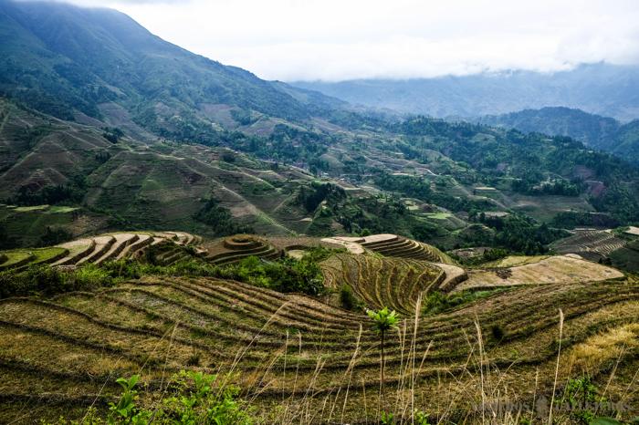 Terrazas de arroz de Longshen