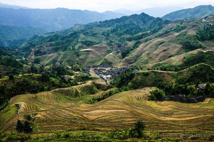 Terrazas de arroz de Jinkeng