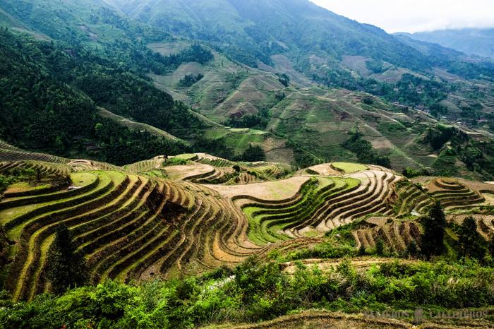 Terrazas de arroz de Longshen desde Guilin