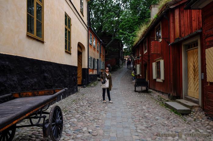 Zona centro de Skansen