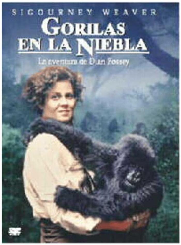 Gorilas en la Niebla