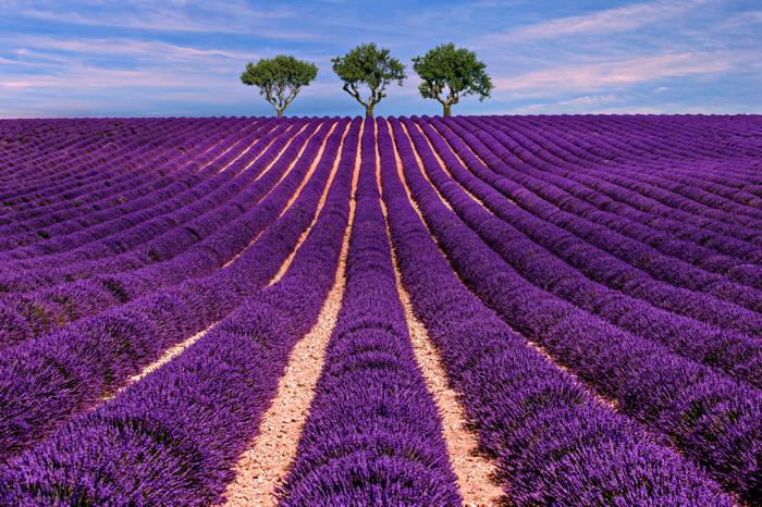 Provenza
