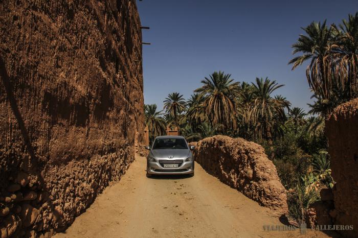Kasbah de Agdz