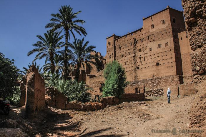 Tamnougalt
