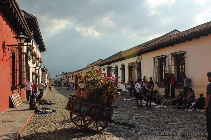 5 Avenida Norte