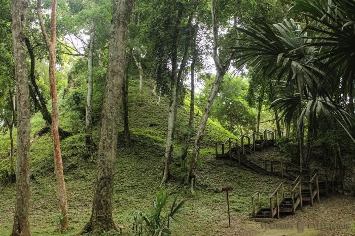 Estructuras en Yaxhá aún sin descubrir