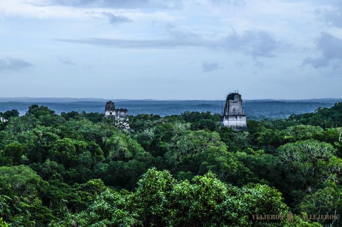 Impresionantes vistas desde el Templo IV que tuvimos ayer