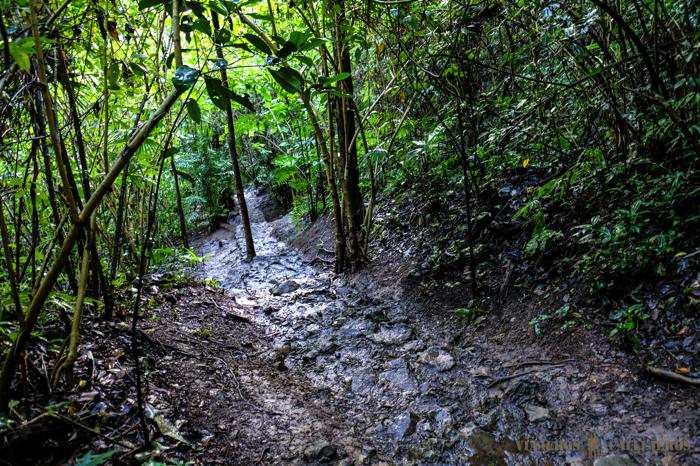 Caminos Semuc Champey