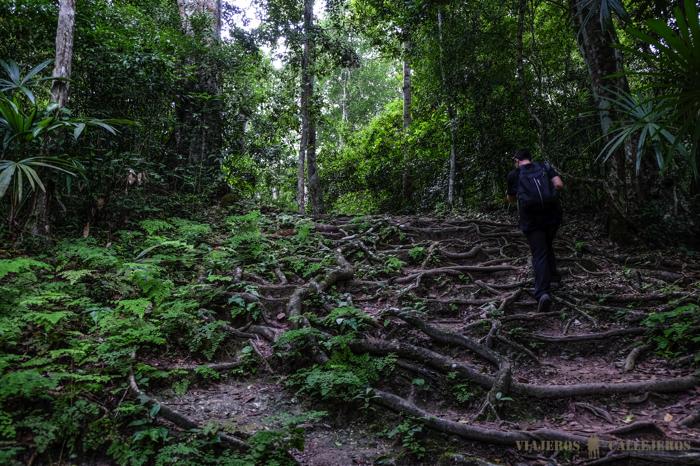 Caminos para visitar Tikal