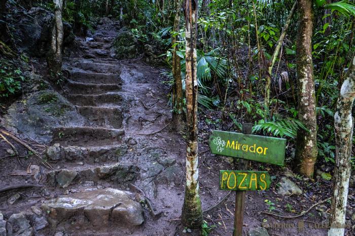 ¿Mirador o Pozas?