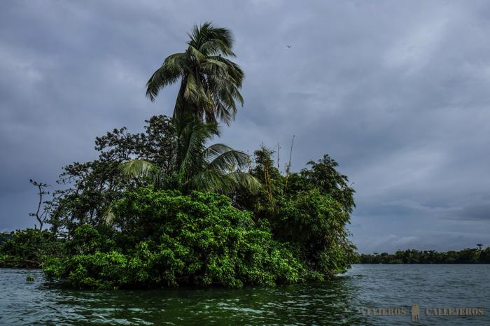 Isla de las Aves