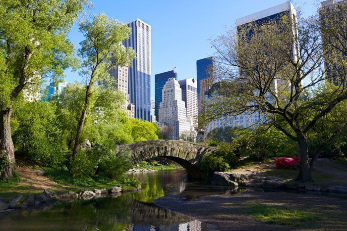 picnic en central park, una de las mejores cosas que ver y que hacer en Nueva York