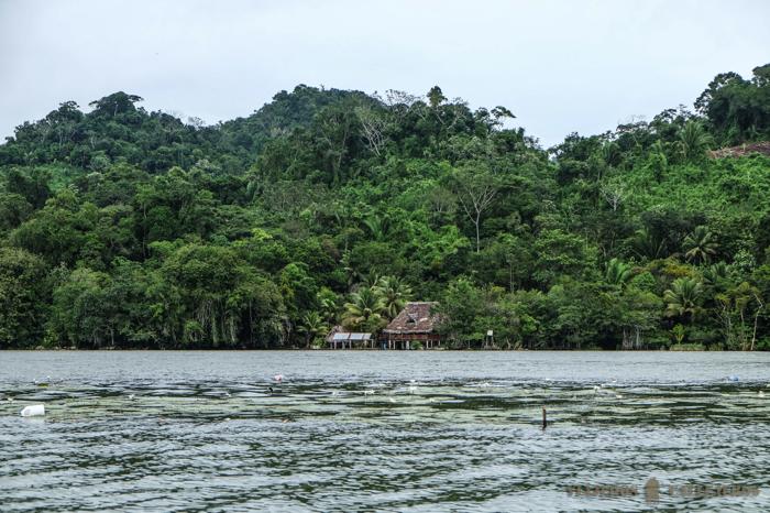 De Río Dulce a Livingston