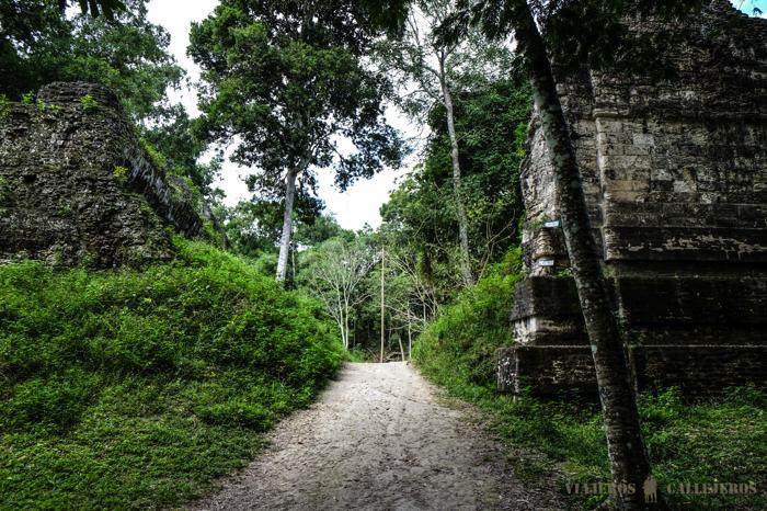 Visitar Tikal
