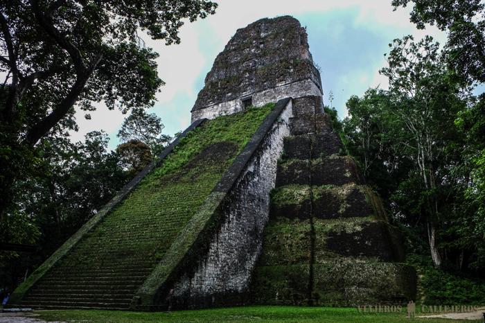 Templo V. Visitar Tikal