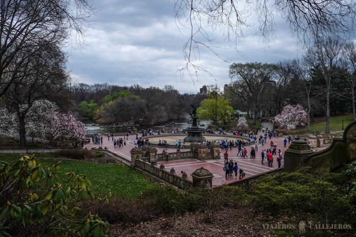 Central Park