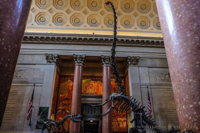 Barosaurus