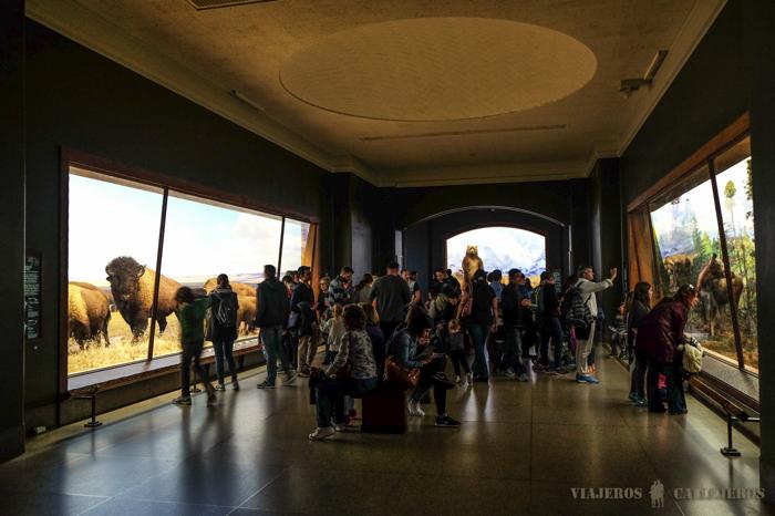 Primer piso del Museo de Historia Natural
