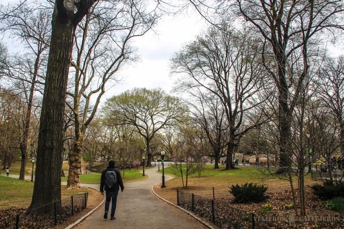 Central Park